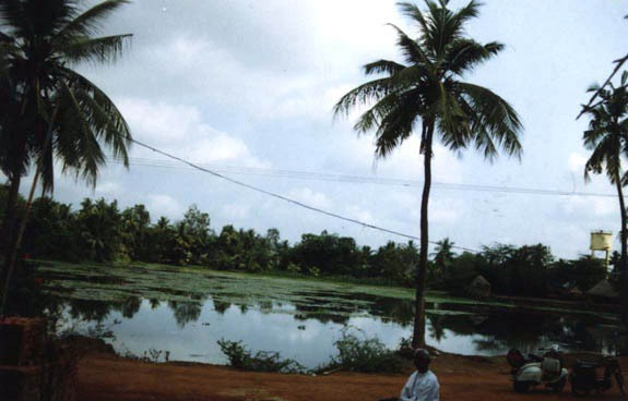 Bandlamma Cheruvu