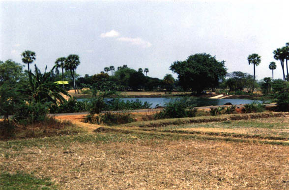 Ankamma Cheruvu