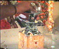 Lord Siva